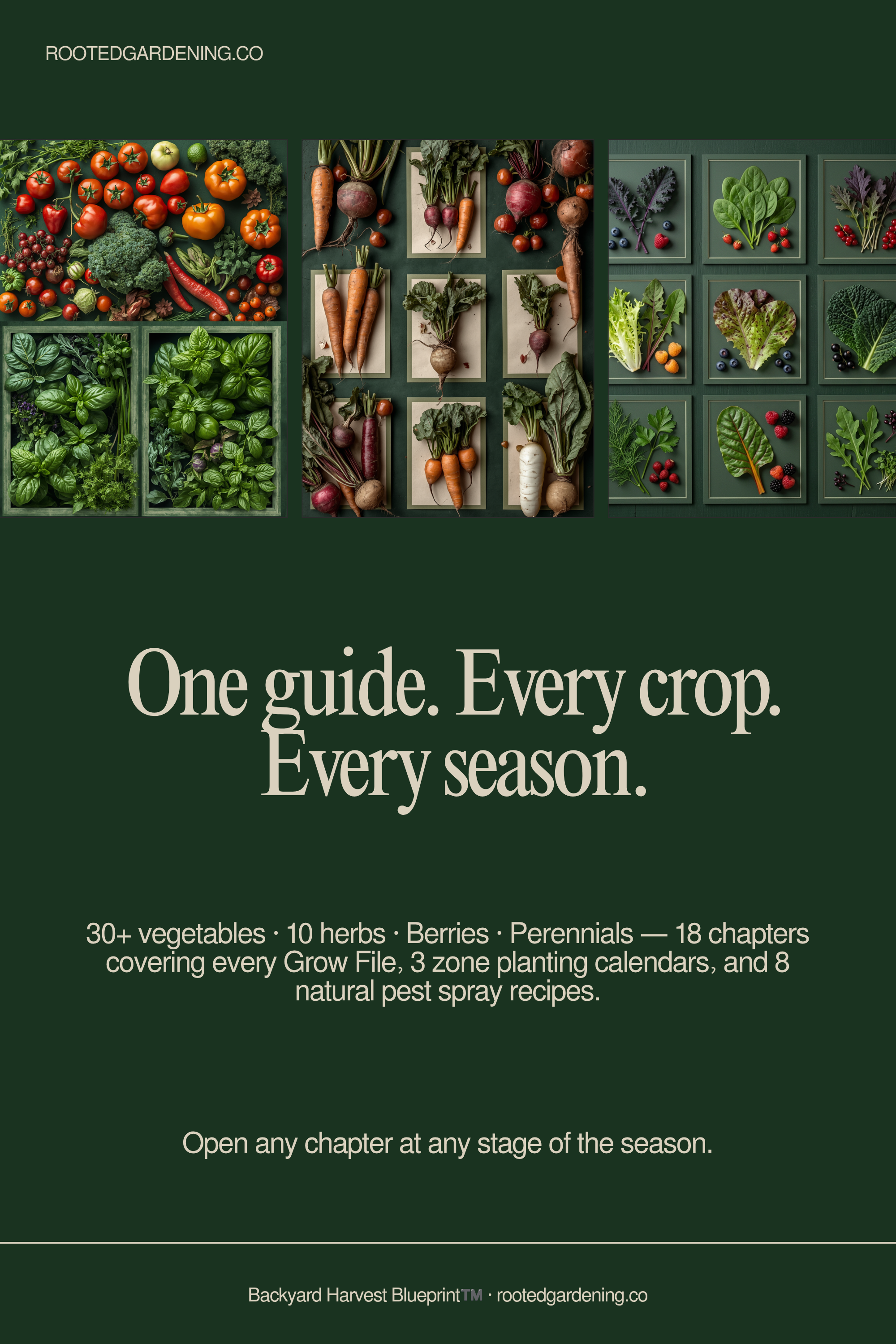 Backyard Harvest Blueprint — overview